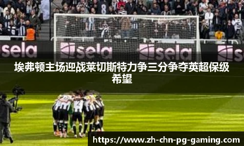 埃弗顿主场迎战莱切斯特力争三分争夺英超保级希望